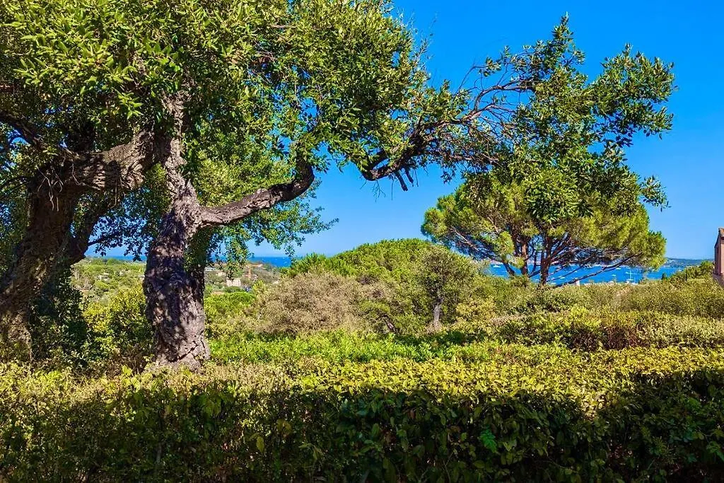 Apartment Les Restanques 3 Chambres 3020 Grimaud